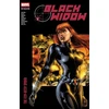 KNYGA Devin Grayson Juodas Widow Modern Era Epic Collection: The Itsy-Bitsy Spider