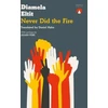 KNYGA Diamela Eltit Never Did the Fire