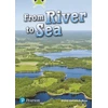 KNYGA Dona Herweck Rice Bug Club Lime Plus A NF From River to Sea