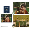KNYGA Donald Lemke Harry Potter Quidditch Match 2-in-1 Double-Sided 1000-Piece Puzzle