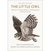 KNYGA Dries Van Nieuwenhuyse Little Owl