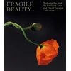 KNYGA Duncan Forbes Fragile Beauty