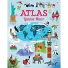 KNYGA Emily Bone Atlas Lluniau Mawr