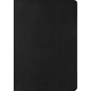 KNYGA Esv Bibles ESV New Testament with Psalms and Proverbs