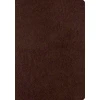 KNYGA Esv Bibles ESV Single Column Journaling Bible, Large Print