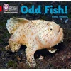 KNYGA Fiona Undrill Odd Fish!