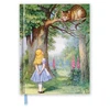 Flame Tree Studio John Tenniel: Alice and the Cheshire Cat (Blank Sketch Book)