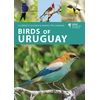 KNYGA Florencia Ocampo Birds of Uruguay