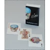 KNYGA Frank H Netter Netter Playing Cards