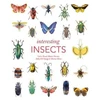 KNYGA Gavin Broad Interesting Insects