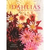KNYGA Georgianna Lane Dahlias