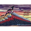 KNYGA Gerald Scarfe Art of Rožinė Floyd The Wall