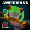 KNYGA Grace Jones Amphibians