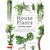 KNYGA Green Green Interior House Plants for Every Space
