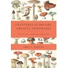 KNYGA Greg A Marley Chanterelle Dreams, Amanita Nightmares