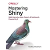 KNYGA Hadley Wickham Mastering Shiny