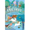 KNYGA Hannah Porter How The Unicorns Got Their Wings
