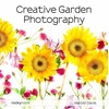 KNYGA Harold Davis Creative Garden Photography