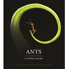 KNYGA Heather Campbell Ants
