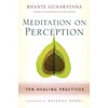 KNYGA Henepola Gunaratana Meditation on Perception