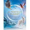 KNYGA Huw Cordey Perfect Planet