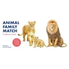 KNYGA Illustrated By Animal Family Match