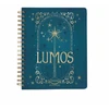 KNYGA Insight Insight Editions Harry Potter: Spells and Potions 12-Month Undated Planner