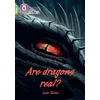 KNYGA Isabel Thomas Are dragons real?