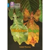KNYGA Isabel Thomas Hidden Bugs