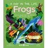 KNYGA Solis Frogs (A Day in the Life)