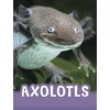 KNYGA Jaclyn Jaycox Axolotls