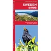 KNYGA James Kavanagh Sweden Birds