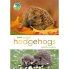 KNYGA James Lowen RSPB Spotlight Hedgehogs