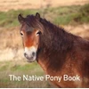 KNYGA Jane Russ Native Pony Book