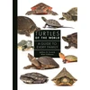 KNYGA Jeffrey E Lovich Turtles of the World