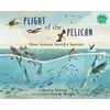KNYGA Jessica Stremer Plight of the Pelican