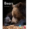 KNYGA Jill Atkins Bears