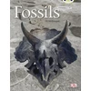 KNYGA Jill Mcdougall Bug Club Non-fiction Gold A/2B Fossils 6-pack
