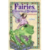 KNYGA Jim Shore Fairies, Gnomes & Dragons Coloring Book