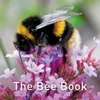 KNYGA Jo Byrne Nature Book Series: The Bee Book