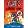 KNYGA John Cats: Understanding Your Whiskered Friend