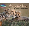KNYGA Jonathan and Angela Scott Cambridge Reading Adventures Honey and Toto: The Story of a Cheetah Family 1 Pathfinders