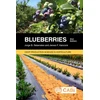 KNYGA Jorge B Retamales Blueberries