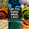 KNYGA Jp Percy Can You Guess What I Am?: At the Seaside