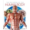 KNYGA Katharine Marsh Big Book of the Human body