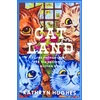 KNYGA Kathryn Hughes Catland, Feline Enchantment and the Making of the Modern World