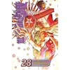 KNYGA Katsura Hoshino D.Gray-man, Vol. 28