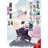 KNYGA Kei Sazane Our Last Crusade or the Rise of a New World, Vol. 14 (light novel)