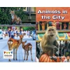 KNYGA Kelly Gaffney Animals in the City
