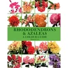 KNYGA Kenneth Cox Rhododendrons and Azaleas - A Colour Guide